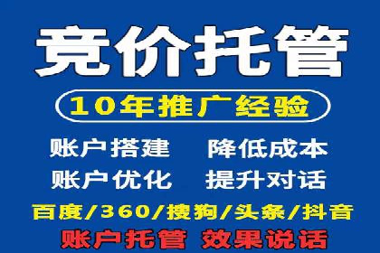 SEM代理服务：案例对比，效果哪家更胜一筹